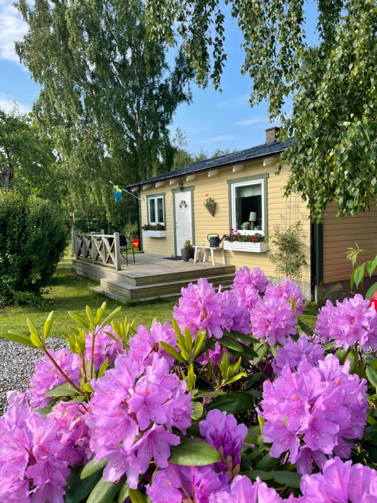 Nice Child-Friendly House 200M From Beautiful Beach, Farhult Exteriör bild