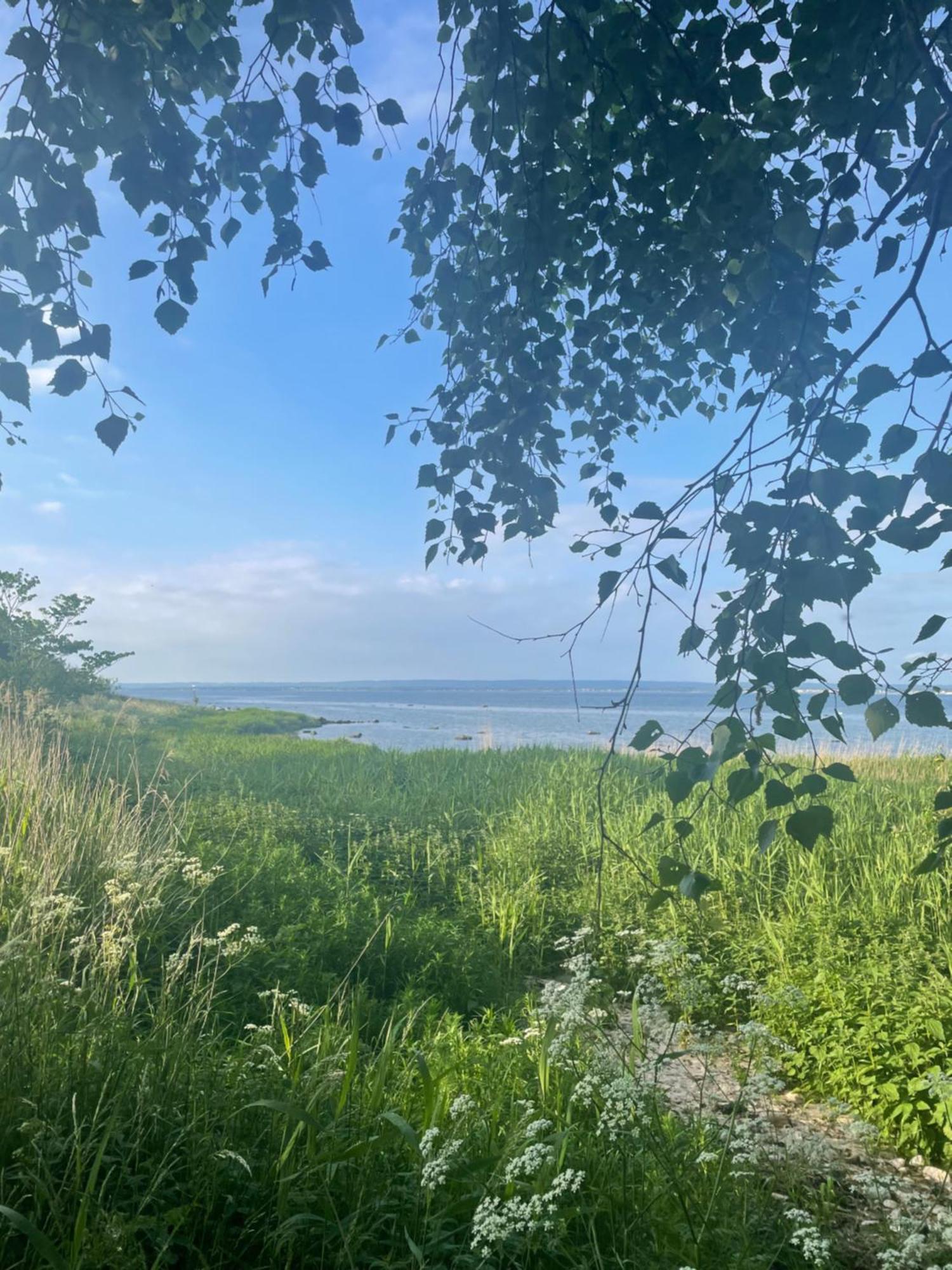 Nice Child-Friendly House 200M From Beautiful Beach, Farhult Exteriör bild
