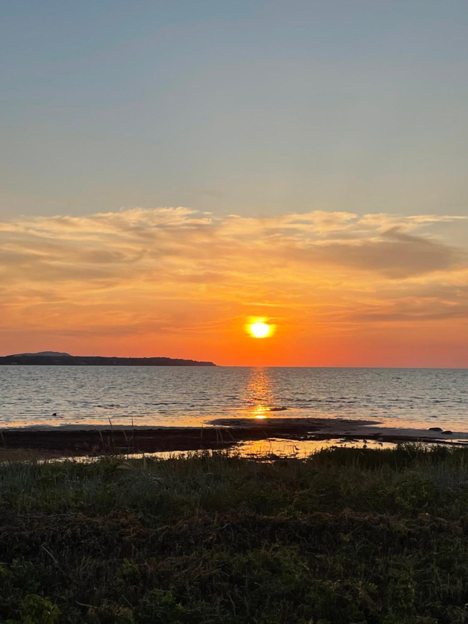 Nice Child-Friendly House 200M From Beautiful Beach, Farhult Exteriör bild