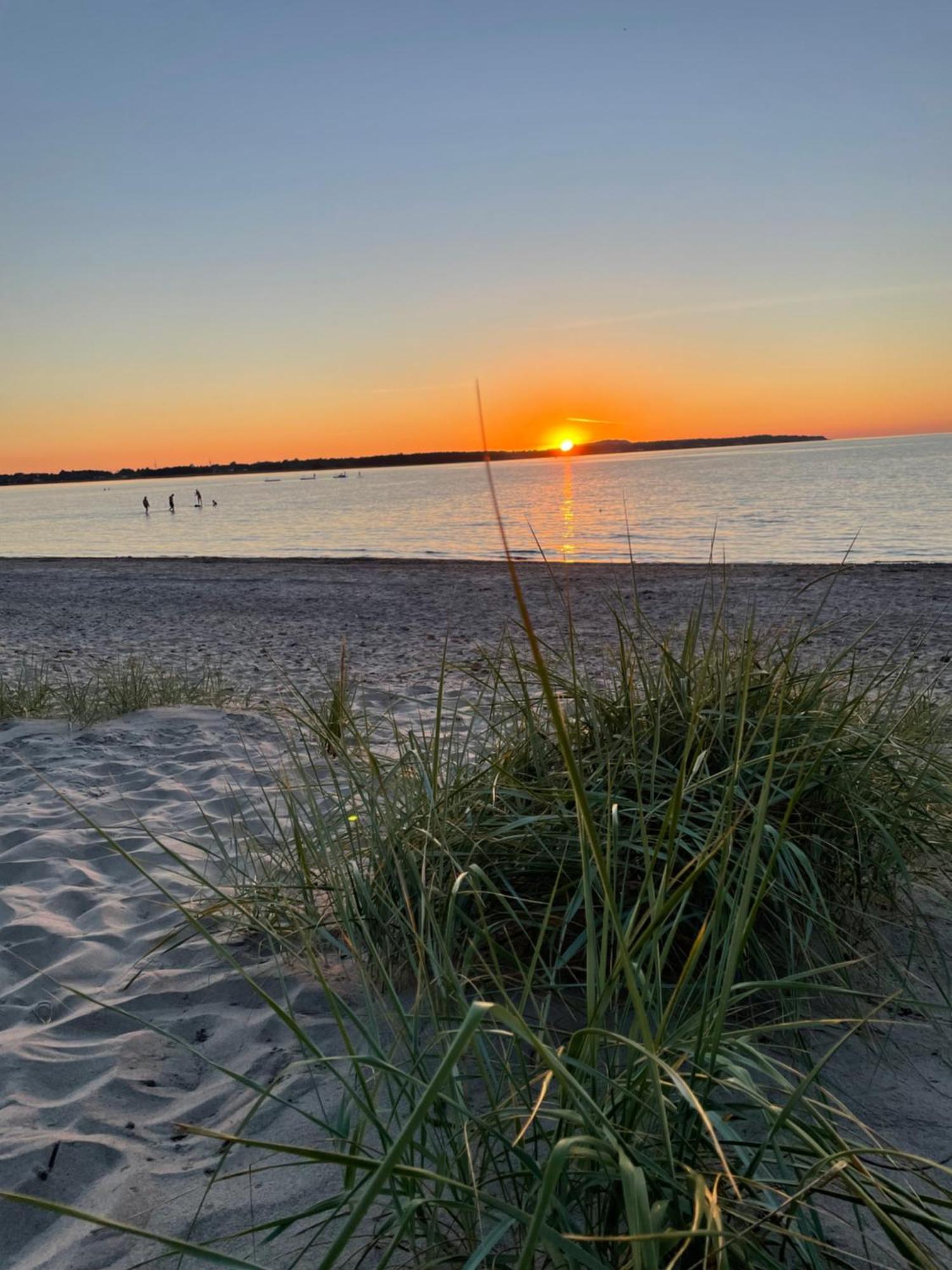 Nice Child-Friendly House 200M From Beautiful Beach, Farhult Exteriör bild